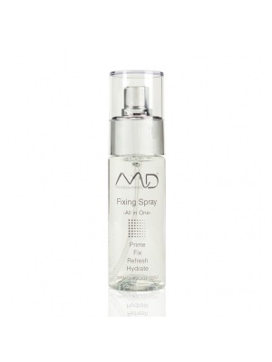 Fixing Spray -All in One- MD Professionnel
